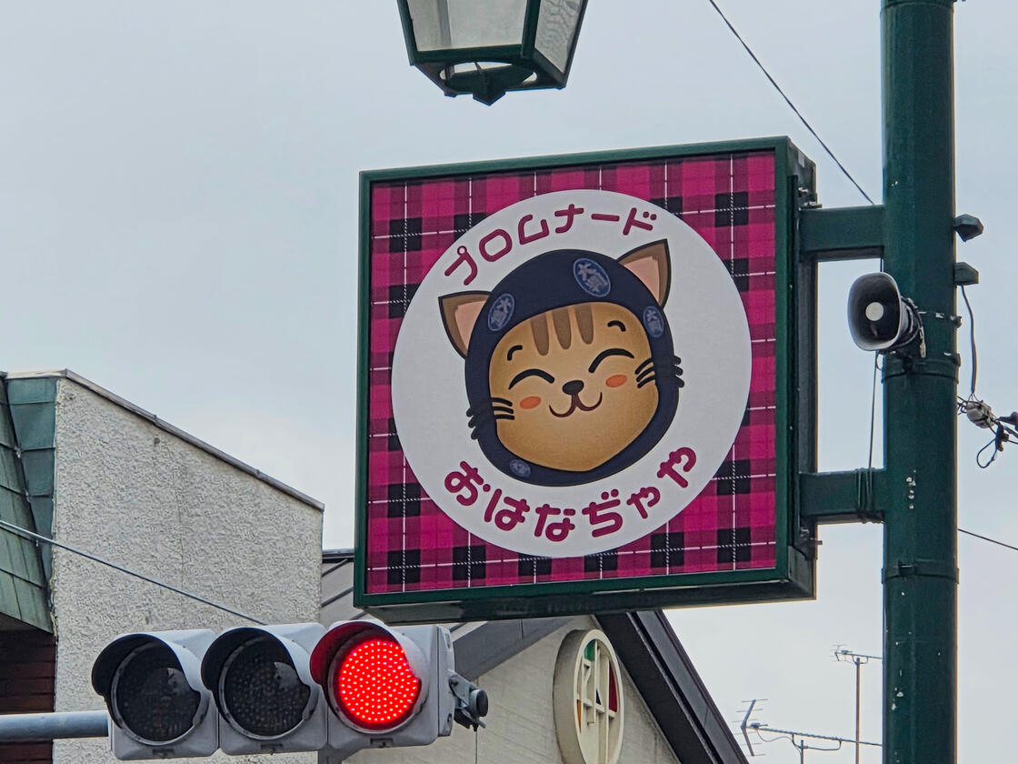 Japan 2026